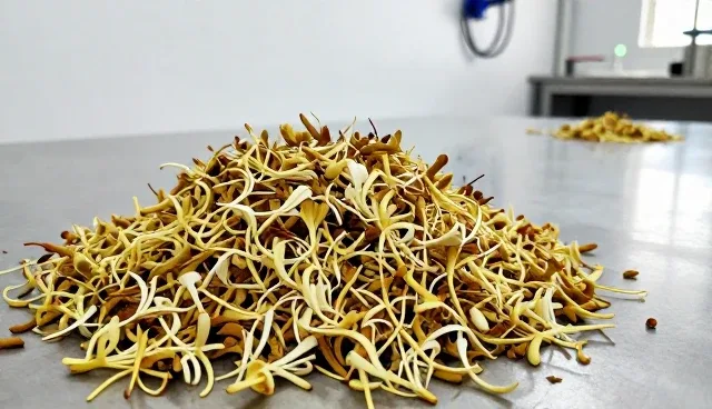 金银花干品仓储保鲜中的性能选型关注点