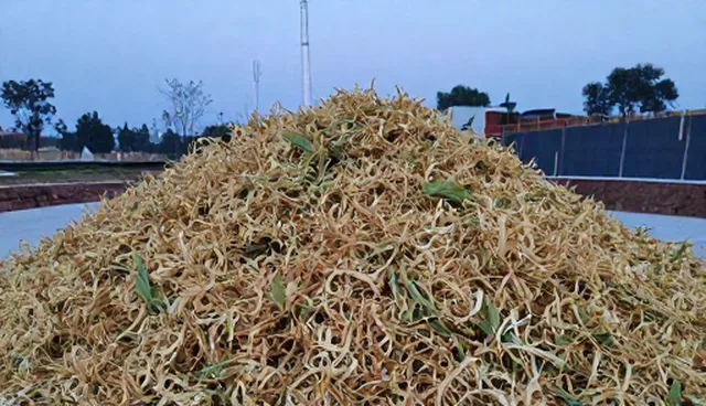 病害防治中需求反馈与沟通的适用情况及限制