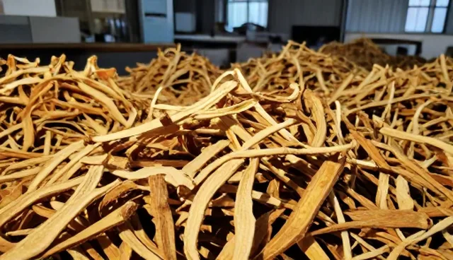 防霉处理中当归干品的适用条件对比分析