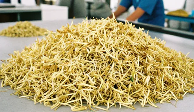 选型关注点:仓储保鲜技术在种植管理中的误区澄清
